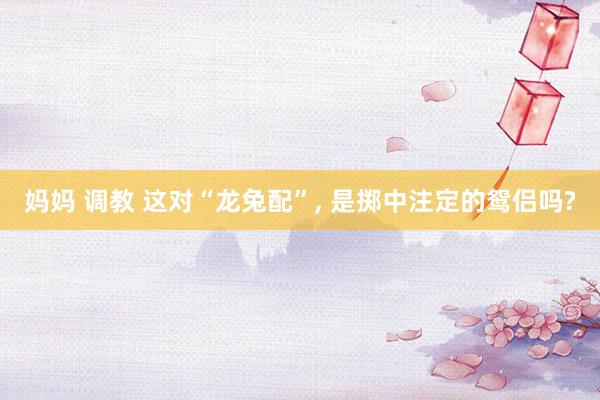 妈妈 调教 这对“龙兔配”, 是掷中注定的鸳侣吗?