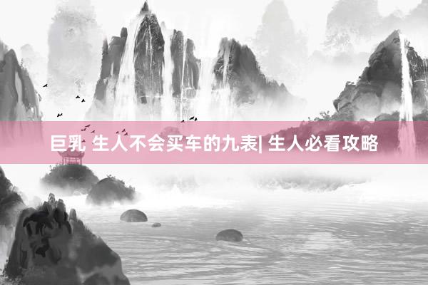 巨乳 生人不会买车的九表| 生人必看攻略